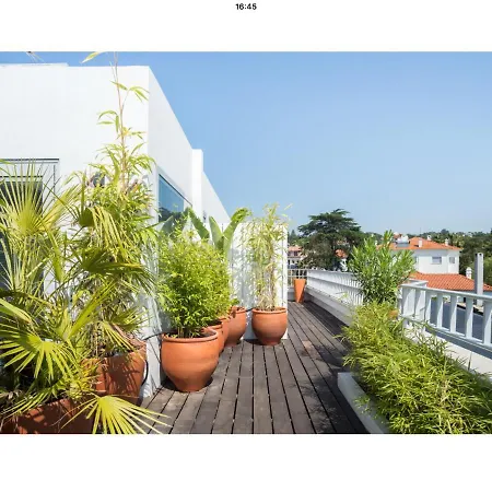 Panoramic Terrace Sea View 아파트 에수투릴